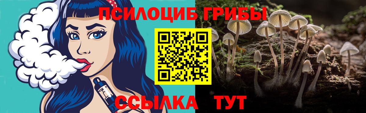 Вичуга  Галлюциногенные грибы MAGIC MUSHROOMS  Вход с VPN 