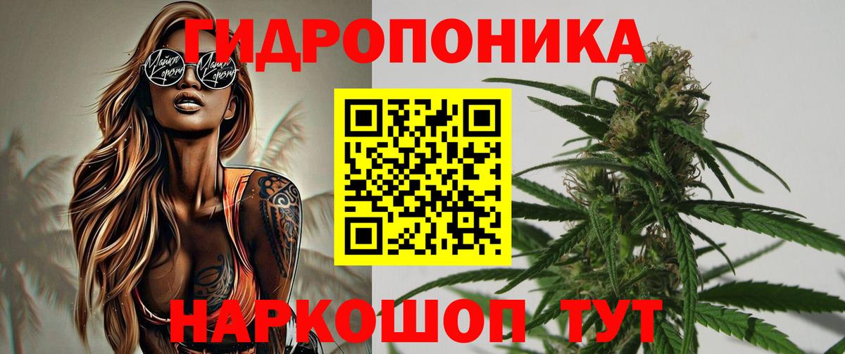 Шишки марихуана индика  Вход с VPN  Вичуга  Конопля ГИДРОПОН 
